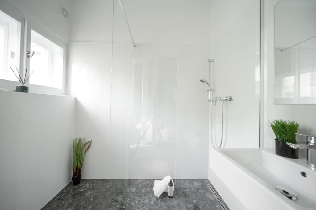 3b Bright Beautiful Newly Renovated 3br Apartmán Praha